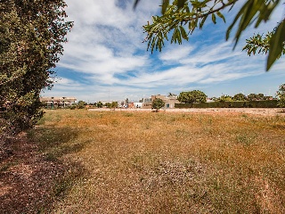 Suelo urbano con edificación en L´Aldea 14