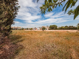 Suelo urbano con edificación en L´Aldea 14