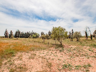 Suelo urbano con edificación en L´Aldea 27