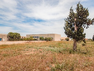 Suelo urbano con edificación en L´Aldea 31