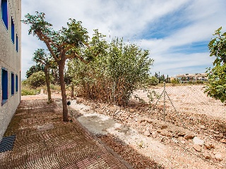 Suelo urbano con edificación en L´Aldea 42