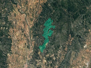 Partida Talades 5