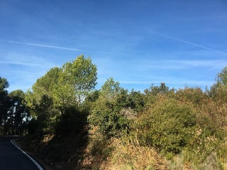 Terreno Rustico en Ptda L`Arboçar, Querol (Tarragona) 15