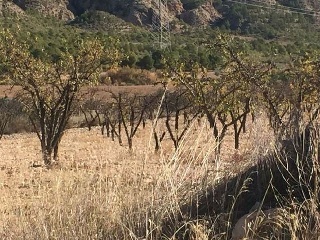 Suelo en Murcia 16