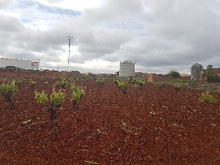 Suelo Industrial en Solana de Los Barros - Badajoz - 34