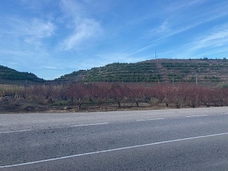 Suelo rústico con vivienda en Fraga, Huesca 17