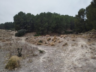 Suelo urbanizable sectorizado en Pt Rincón de Egea - Hoya Redonda - Caravaca de la Cruz  18