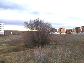 Suelo Urbano situado en Ávila 19