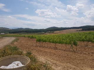 Suelos en Grávalos , La Rioja 4