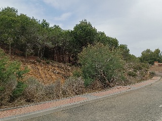 Suelo en Esparragal - Murcia - 9