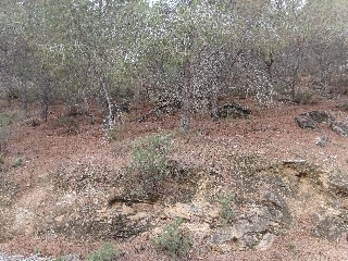 Suelo en Esparragal - Murcia - 13