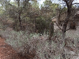 Suelo en Esparragal - Murcia - 33