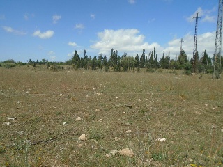 Suelos en L` Aldea , Tarragona 17