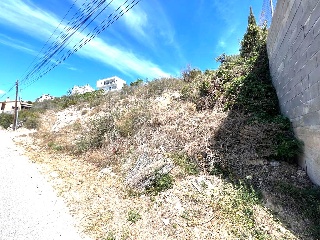 Devesa De Girona 4