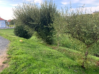 PORTA SOL 2