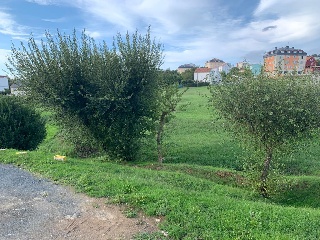 PORTA SOL 5
