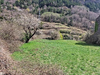 CABAÑERAS 2