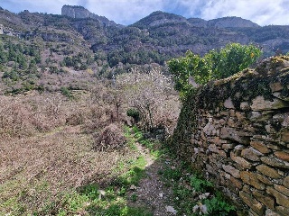 CABAÑERAS 5