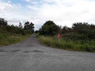 PENA CORVEIRA Polígono 507 Parcela 203. SALGUEIRO 8
