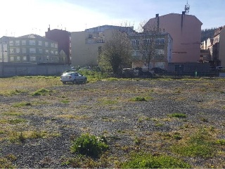 PITILLERA 5