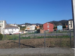 PITILLERA 8