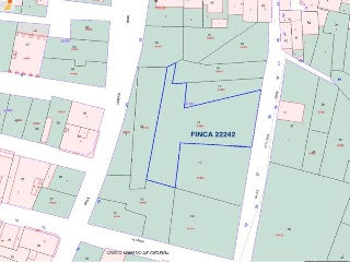 PITILLERA 10