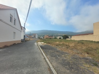 CONSTITUCION 2
