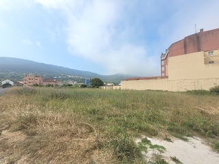 CONSTITUCION 3