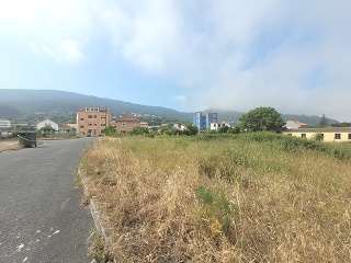 CONSTITUCION 4
