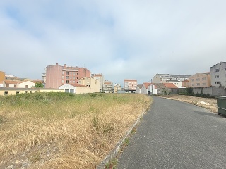 CONSTITUCION 5