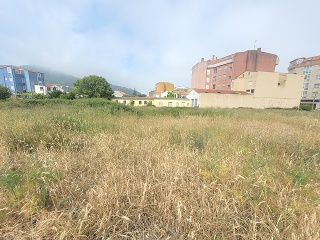 CONSTITUCION 6