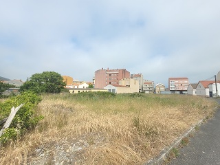 CONSTITUCION 7