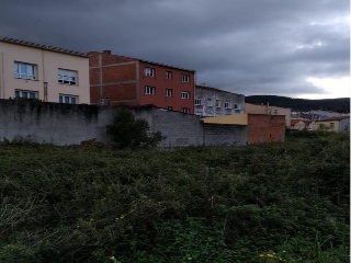 CONSTITUCION 10