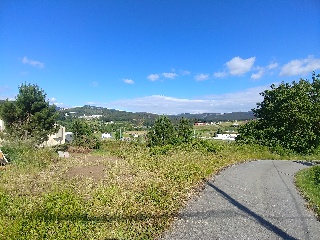CAMPO DE FUTBOL 7