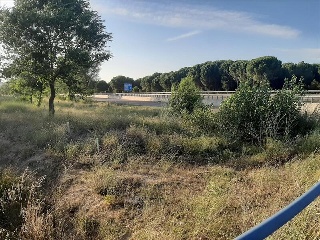 SECTOR 4 SUD MANOJALBO 3