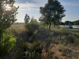 SECTOR 4 SUD MANOJALBO 4