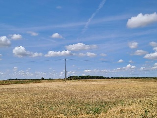 SECTOR 4 SUD MANOJALBO 8