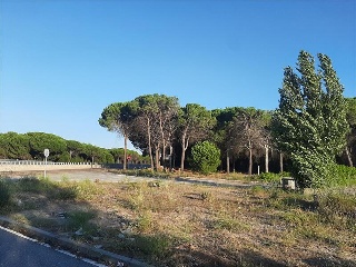MANOJALBO 4