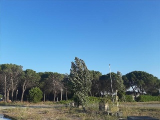 Otros en venta en Aldeamayor De San Martín