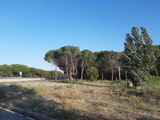 SECTOR 4 SUD MANOJALBO 3