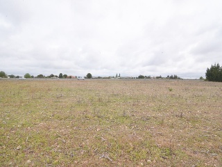 POZARUELO 5
