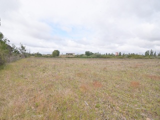 POZARUELO 10