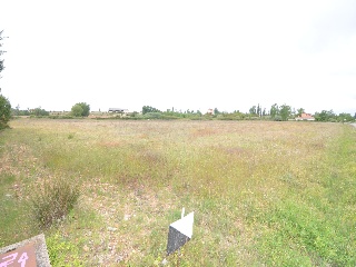 POZARUELO 11
