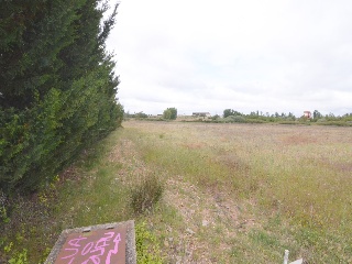 POZARUELO 12