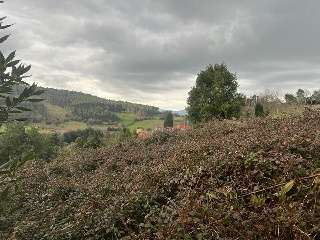 DE CASTIELLO, POLIGONO 97, PARCELA 3