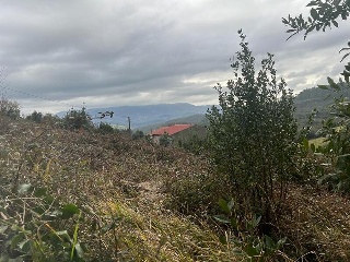 DE CASTIELLO, POLIGONO 97, PARCELA 5