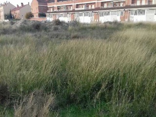 PARAJE ALBARES BAJOS. POLÍGONO 4, PARCELA 2