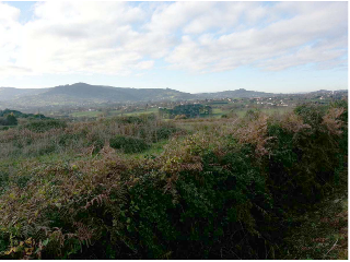 LA CANTERA 2