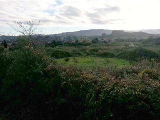 LA CANTERA 3
