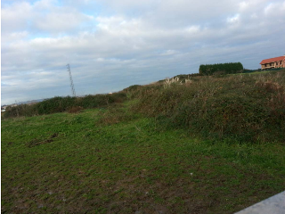 LA CANTERA 5